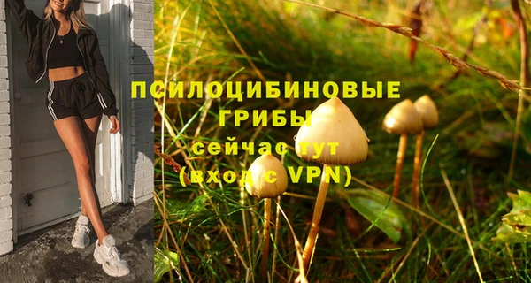 альфа пвп Баксан