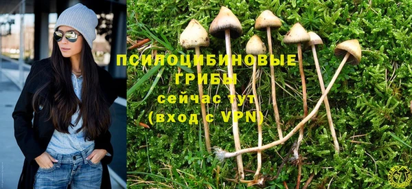 а пвп мука Балахна