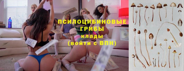 хмурый Киреевск